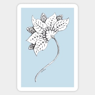 Ink drawing - graceful, fanciful Renaissance flower Magnet